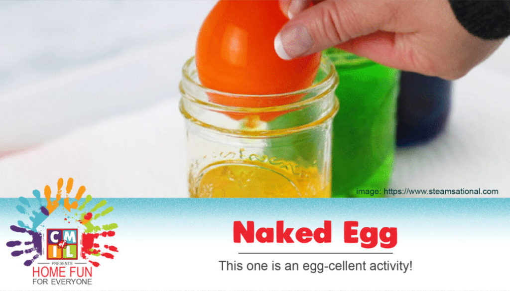 Rubber Egg Science Experiment for Classic Kids STEM!