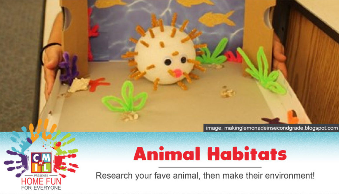 Animal Habitats