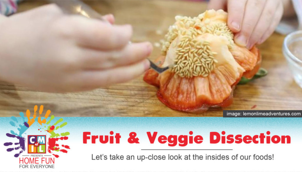 Fruit & Veggie Dissection