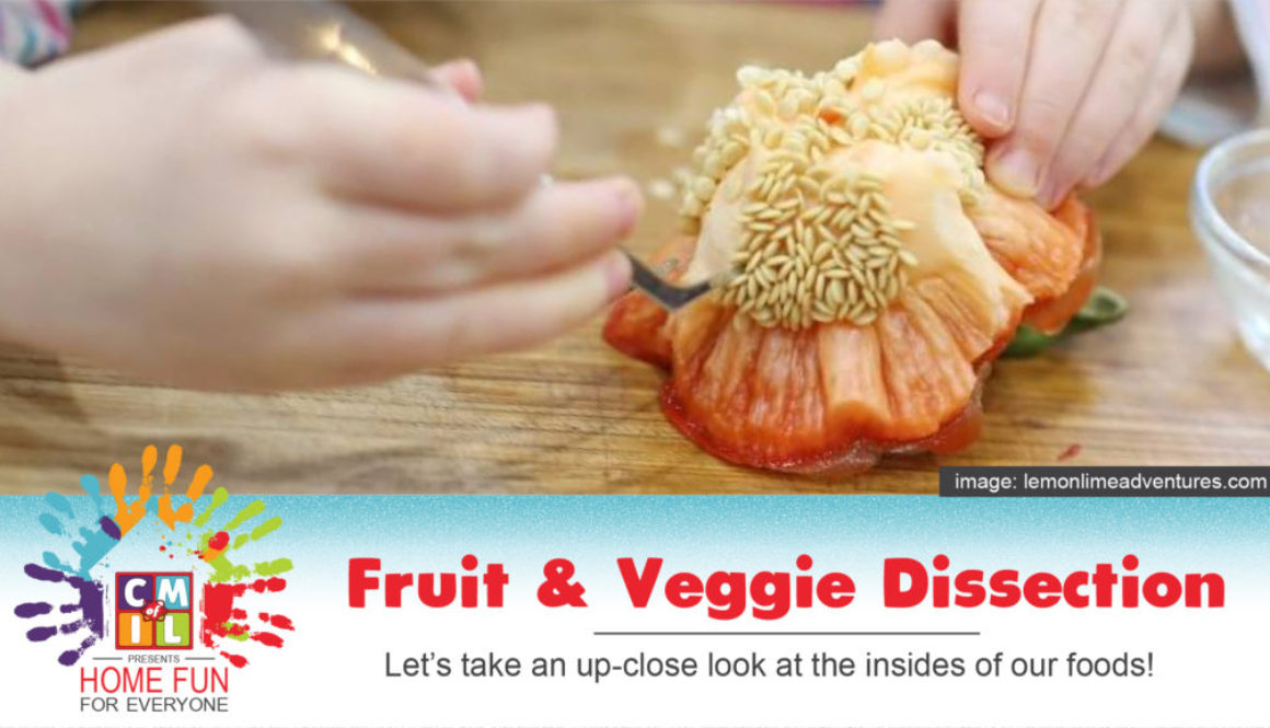 Fruit & Veggie Dissection