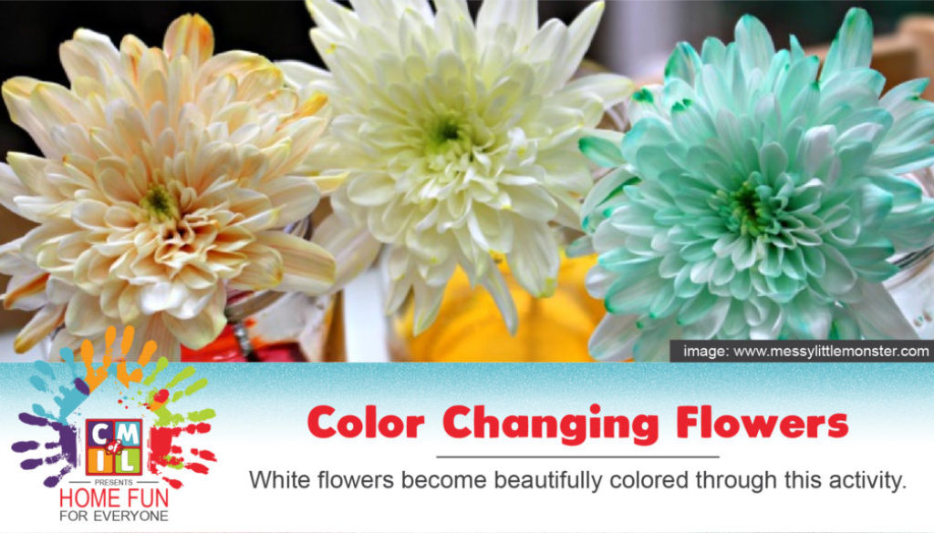 Color Changing Flowers